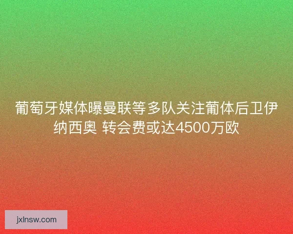 葡萄牙媒体曝曼联等多队关注葡体后卫伊纳西奥 转会费或达4500万欧