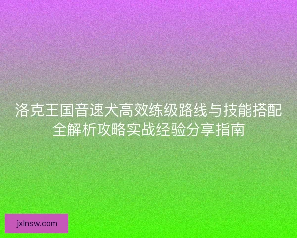 洛克王国音速犬高效练级路线与技能搭配全解析攻略实战经验分享指南